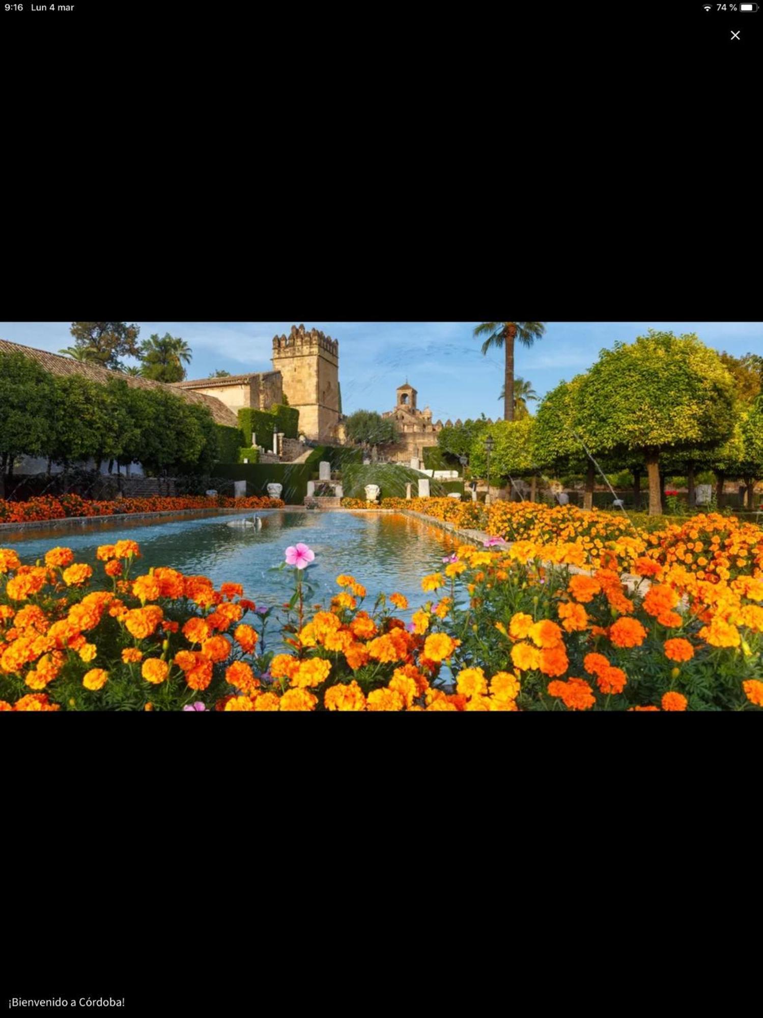 Centro Historico Mezquita Juderia La Preferida Lägenhet Córdoba Exteriör bild