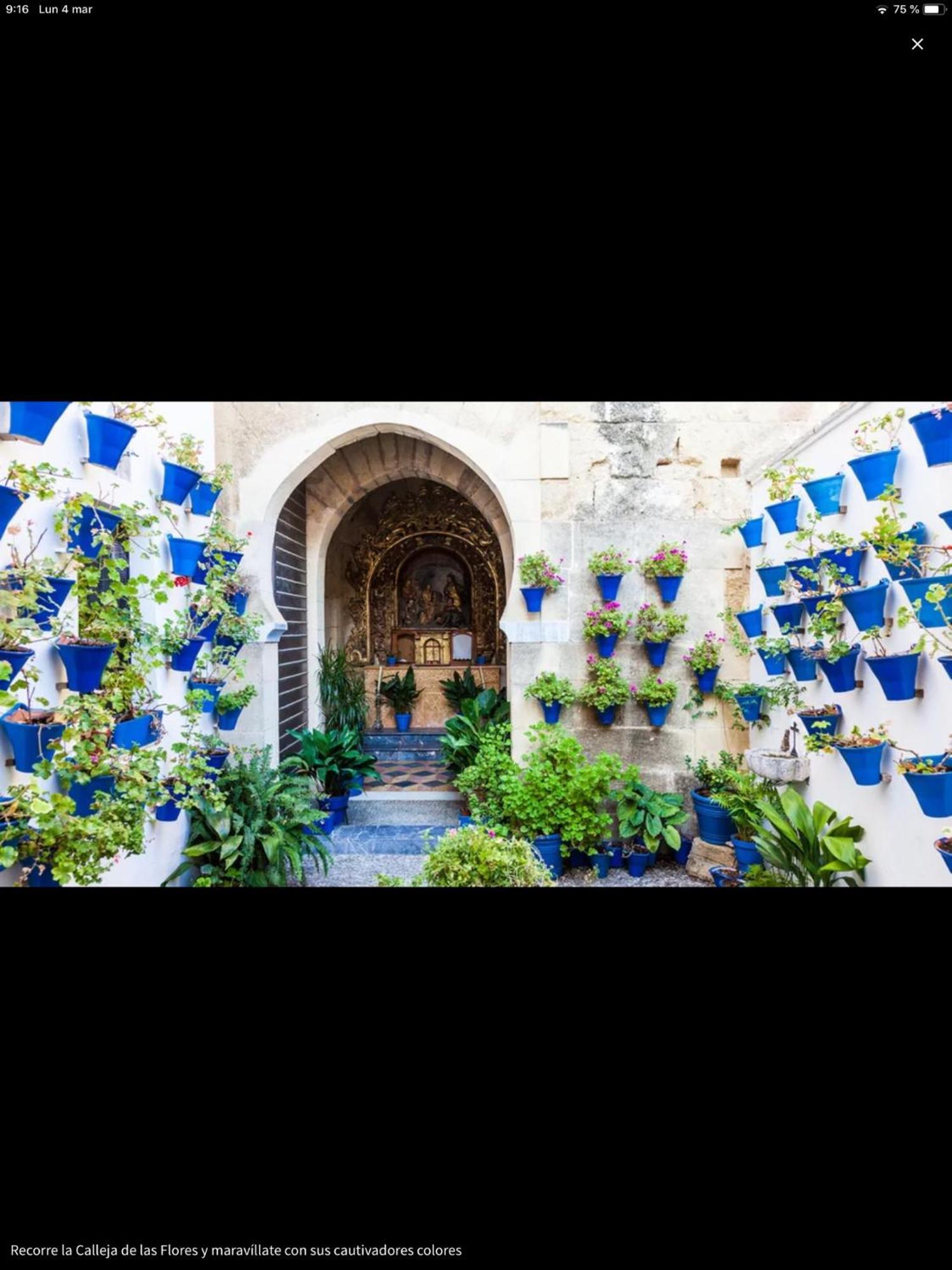 Centro Historico Mezquita Juderia La Preferida Lägenhet Córdoba Exteriör bild