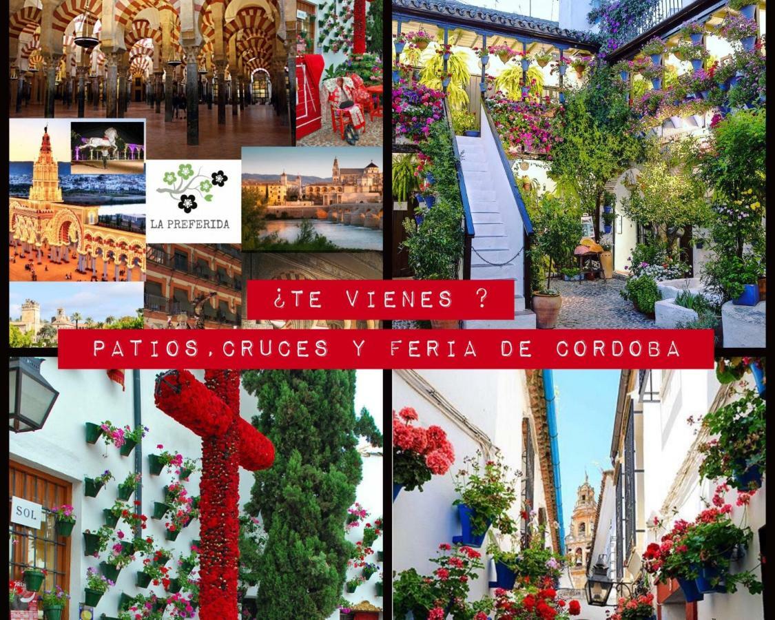 Centro Historico Mezquita Juderia La Preferida Lägenhet Córdoba Exteriör bild